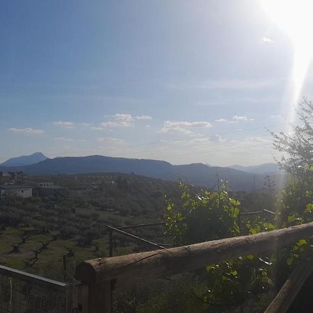 Cortijo El Cerro Apartment Alcaudete Ngoại thất bức ảnh