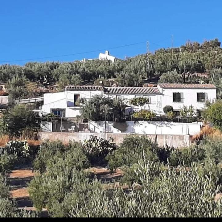 Cortijo El Cerro Apartment Alcaudete Ngoại thất bức ảnh